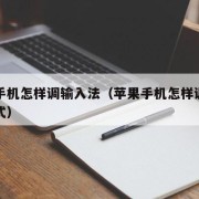 苹果手机怎样调输入法（苹果手机怎样调输入法模式）