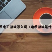 哈希电工游戏怎么玩（哈希游戏是什么）